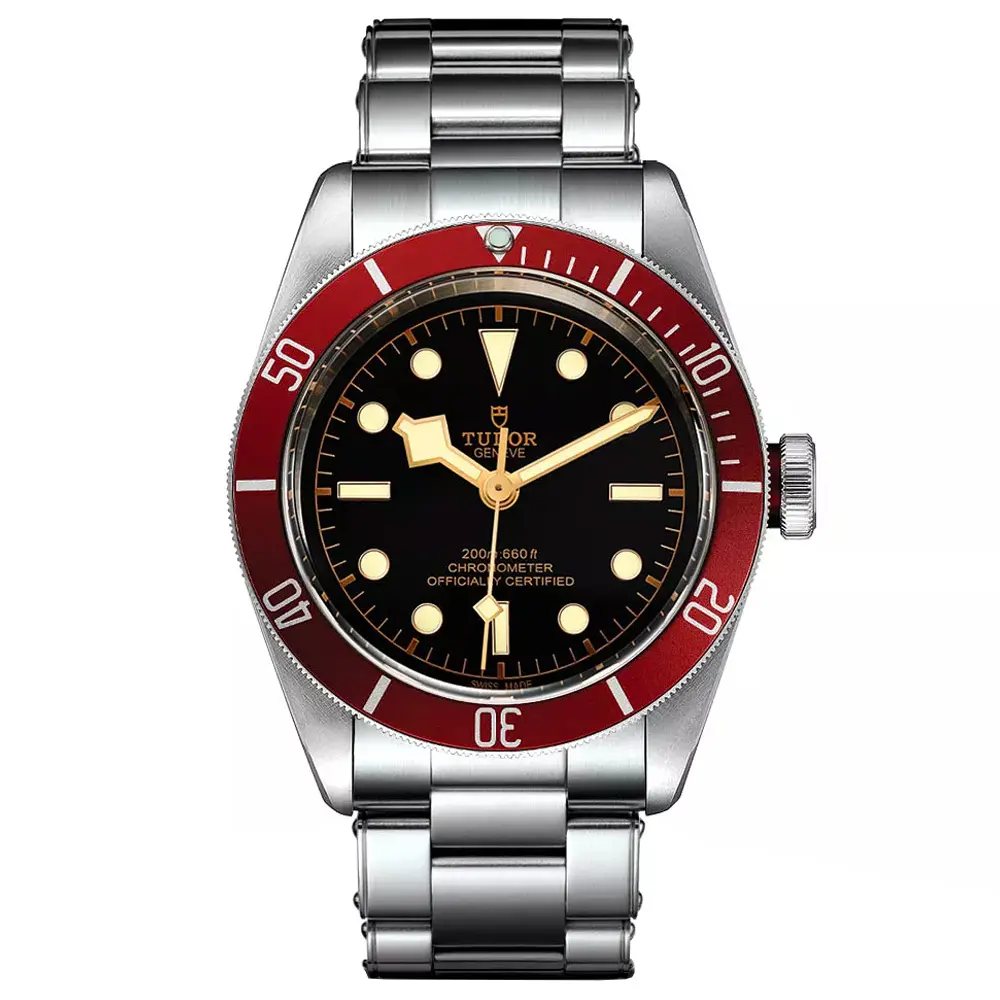 Tudor Black Bay diving watch